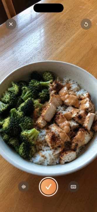 A photo of chicken and rice held full-screen in dinki-di, with a confirm tick where the shutter was.